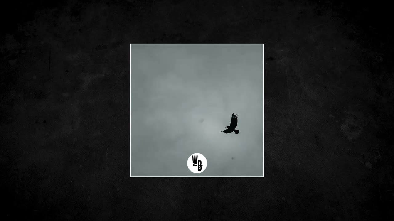 "Fly Away" Dark Boom Bap Rap Instrumental - (Wooz & LXtrM)