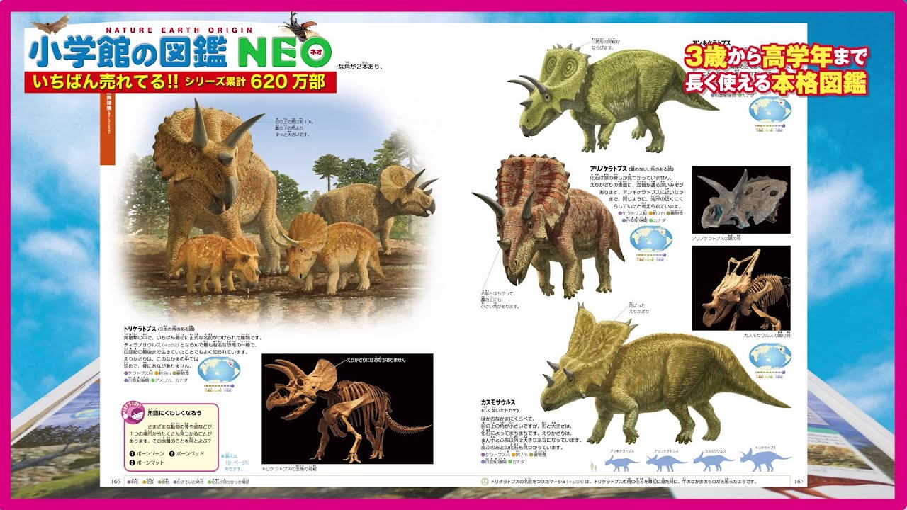 小学館の図鑑neo 新版 動物 小学館