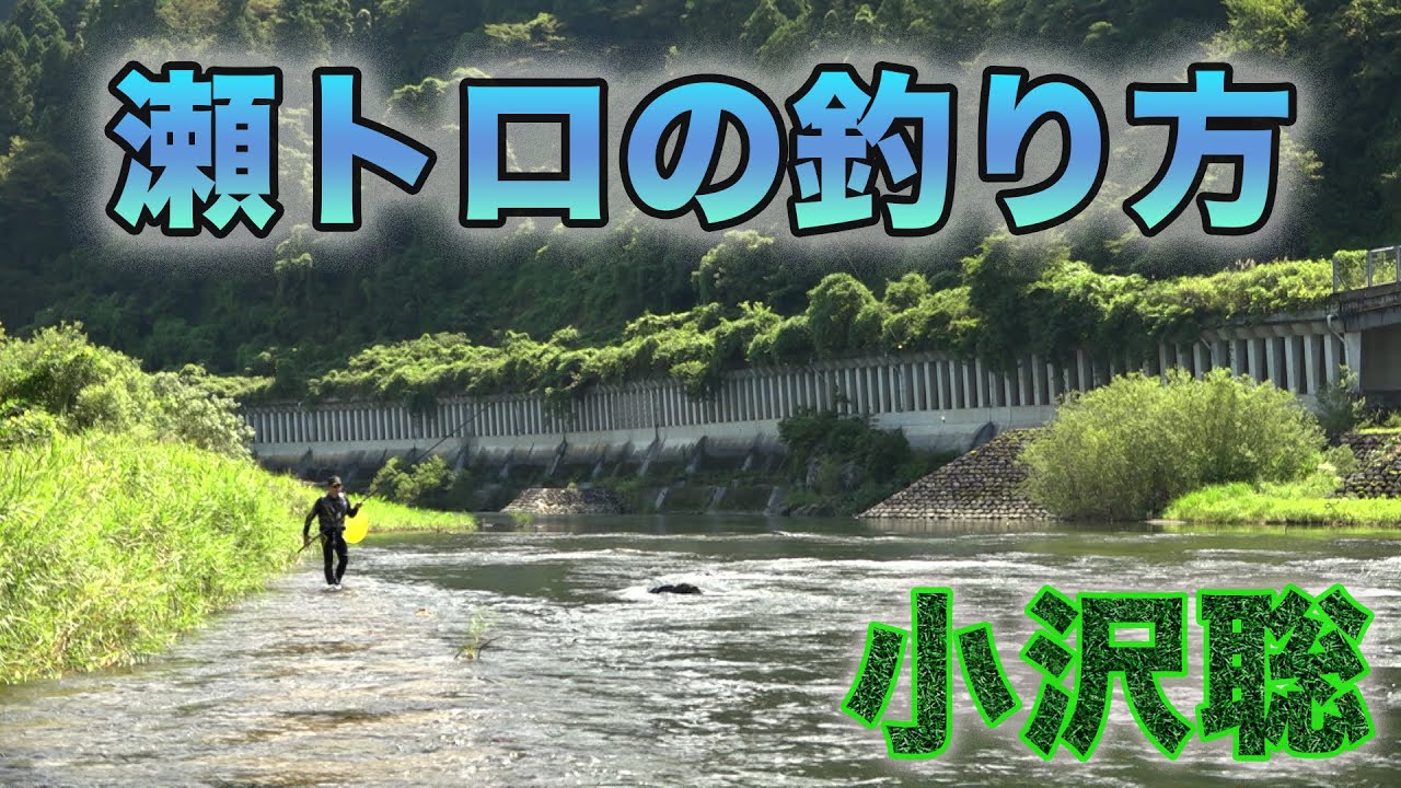 鮎釣り 小沢聡 瀬トロの釣り方