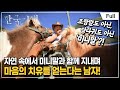 [Full] 한국기행 - 나의 친애하는 동물 친구들 제1부 너는 내 운명