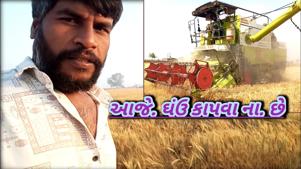 !! આજે અમારા ઘંઉ કાપવા નો. વારો. લીધો.!! /@રસિક.રાઠવા.વિલોગ.!! 😆