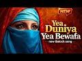 Yea Duniya Yea Bewafa Balochistan Official Video 2026