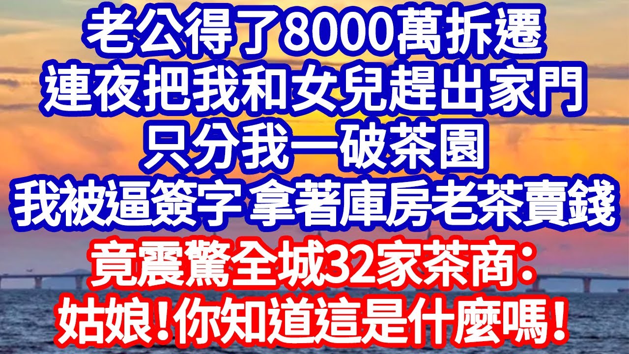 老公得了8000萬拆遷款，連夜把我和女兒趕出家門，只分我一破茶園，我被逼簽字 拿著庫房老茶賣錢，竟震驚全城32家茶商：姑娘！你知道這是什麼嗎！