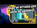 SUPER MARIO WONDER | #01 Planalto Rochacanos | #18 Algo se Arrasta nos Canos do Pântano | Gameplay