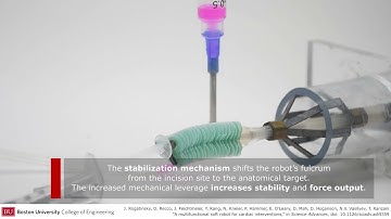A multifunctional soft robot for cardiac interventions