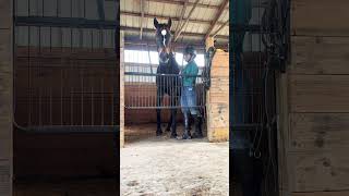 Toe Beans #happy #horse #thoroughbred #racehorse #love #farmlife #spreadlove #horsegirl