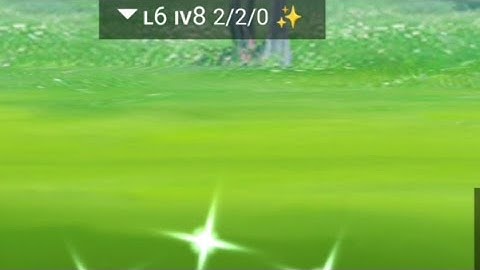 Bug Shiny✨ Pokemon pgsharp Pokemon Go Hoenn tour