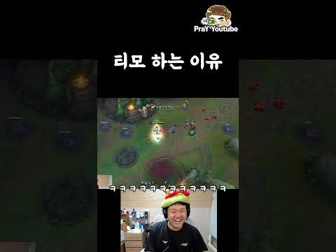 티모 하는 이유
