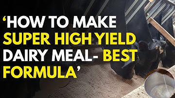 How to make Super High Yield Dairy Meal at Home-Free formula