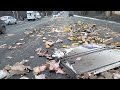 Повторное выпадение осадков в виде куриц