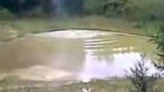 REDNECK PEST CONTROL 3