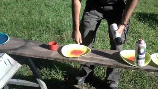 Paper plate targets - Visible shot