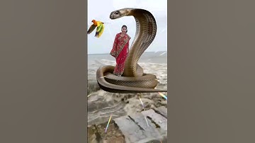 Nagin #nagin #trending #viral #naagin #shorts #video #shortsfeed @sonirkvlog786