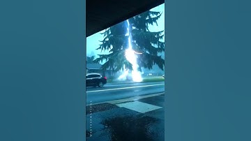 Lightning Strikes The Tree and It EXPLODES⚡🌲 #lightningstrike  #caughtoncamera #treestrike