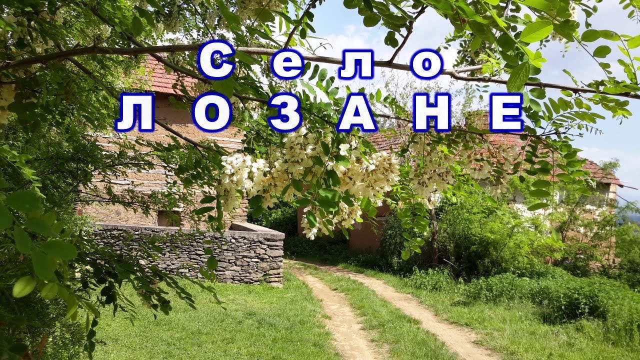 Село ЛОЗАНЕ - Општина Бојник