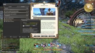 Daily Quest