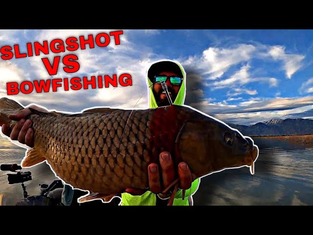 Fishing Slingshot VS Bowfishing!! 