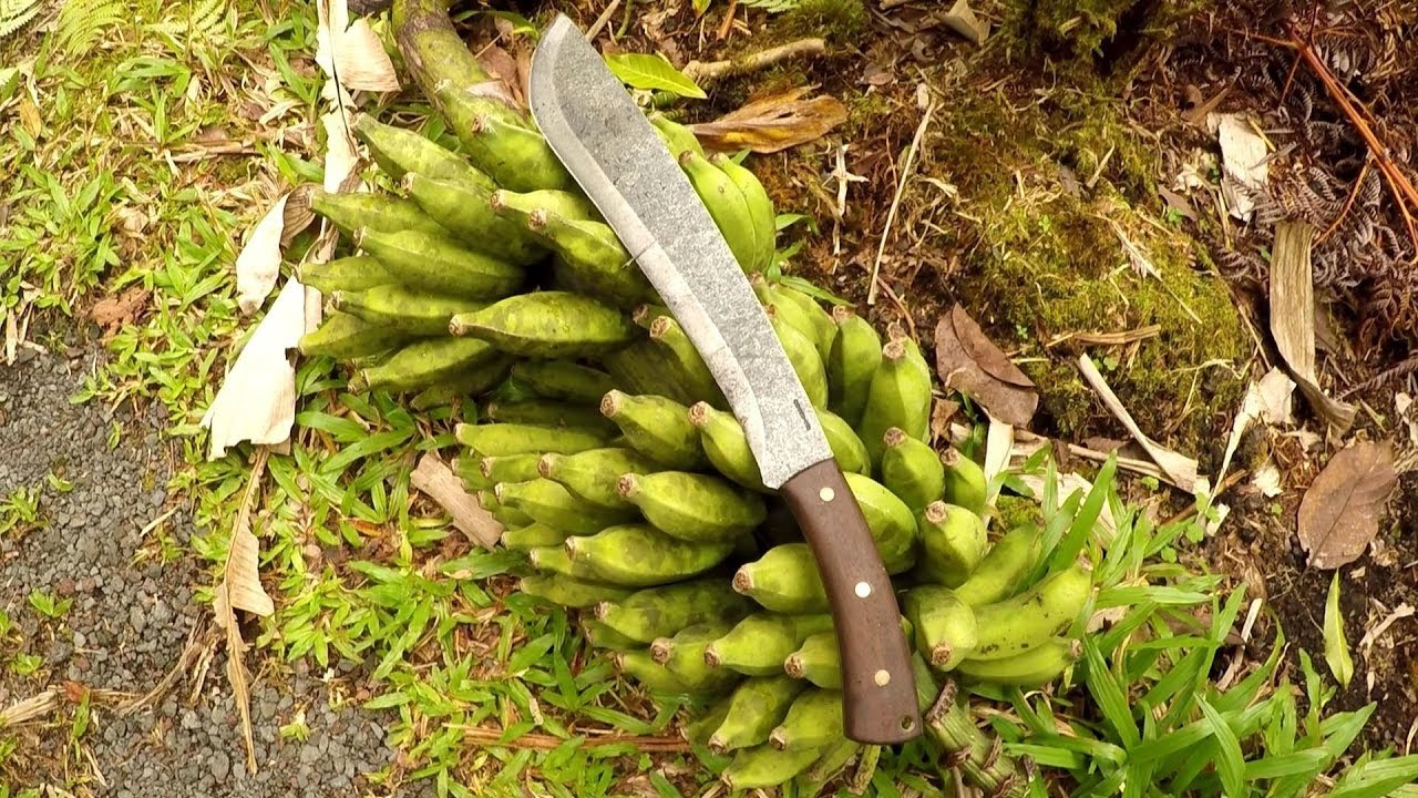 Condor Jungolo and Yardwork YouTube