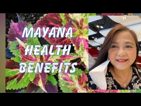 Mayana Health Benefits