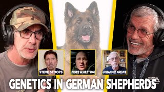 German Shepherd Genetics with Avi Cohen, Steve Stoops, Pierre Wahlström, Johannes Grewe