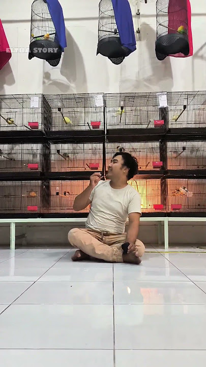very clear and the sound of birds immediately disappears #clear #microphone