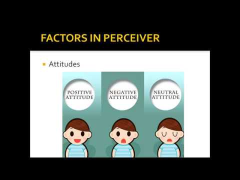 Factors Affecting Perception - YouTube