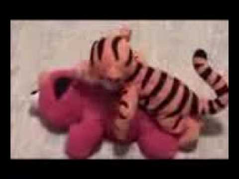elmo gay porno