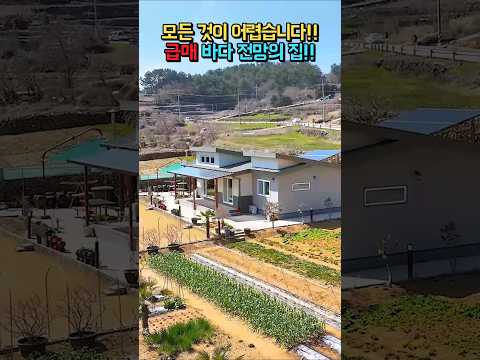 급매 3500만원 인하!! 바다 전망의 집!! 텃밭 태양광 주차장!! 깔끔한 관리상태!! 추가 건축 가능!! 전원주택 매매 시골집 #shorts