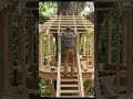 make a tree house#construction #beforeafter #buildingprojection #construction