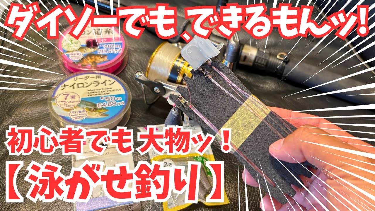 【ダイソーでもできるもん！】泳がせ釣り【ブリヒラメ大物釣り】