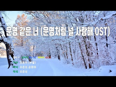 [은성 반주기] 운명같은너(운명처럼널사랑해OST) - 정동하(부활)
