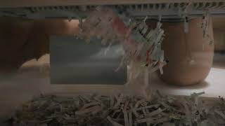 足の底敏感な人がシュレッダーに喜ぶ動画