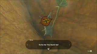 Legend of Zelda Tears of the Kingdom - Korok Wind -2620 -2198 0065 Gameplay Walkthrough