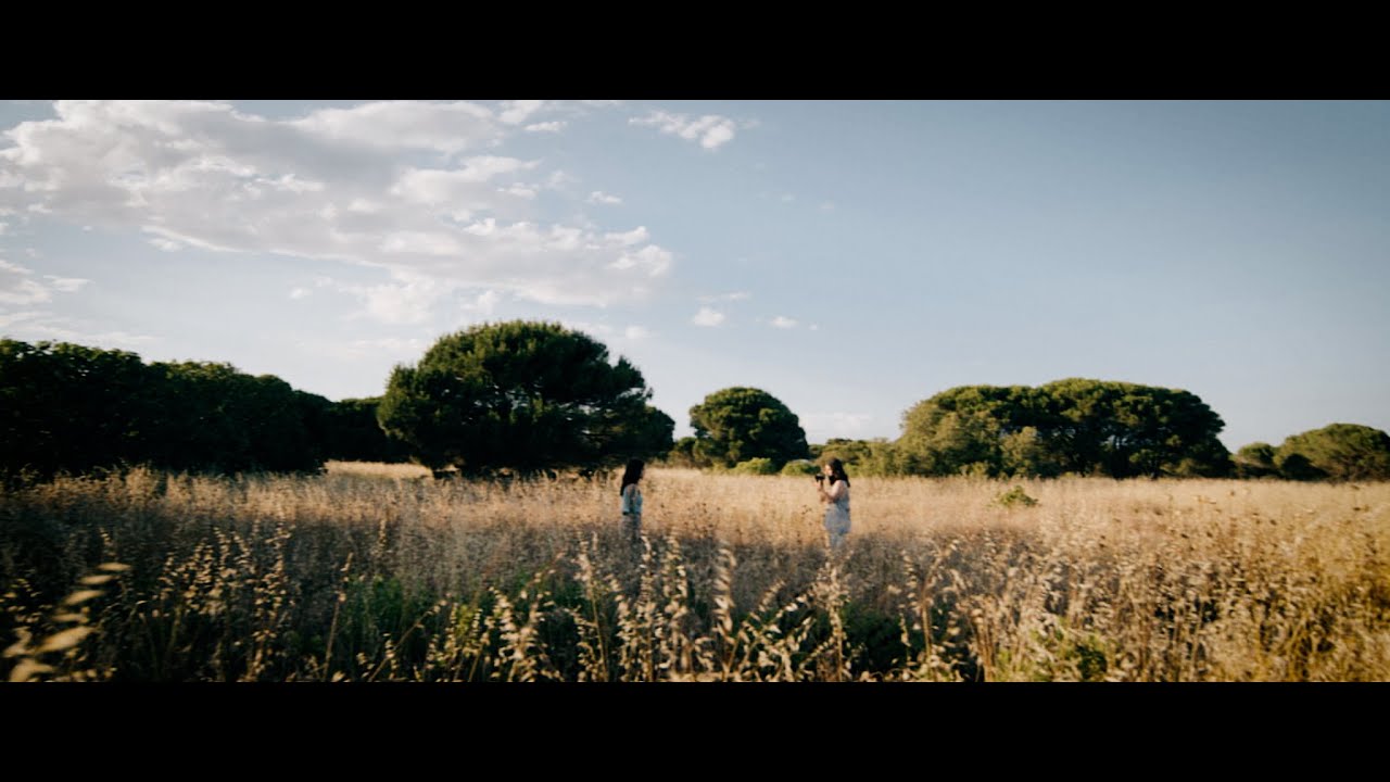 Gustav - Les Sémaphores