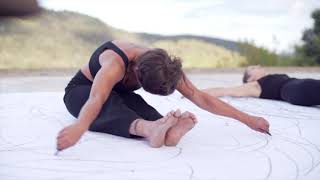 Literal and Phenomenal Movements