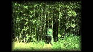 Kill Clouseau Beast (off original self titled album)