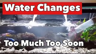 3 Tips for New Tank Water Changes [Don't Make this Common Fatal Mistake  Watch This!]