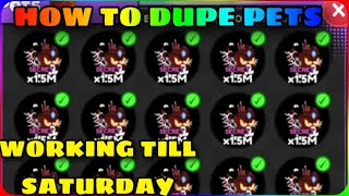 🌊TUTORIAL🔥 HOW to DUPE PETS in Sword Fighters Simulator