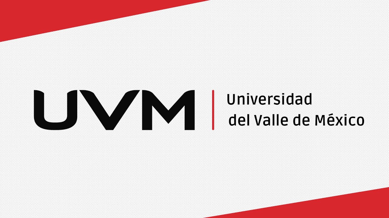 Principios del modelo educativo en línea UVM - YouTube