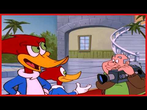 Woody is a Hollywood Star! ⭐ | Woody Woodpecker