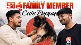 కొత్త German Shepherd Puppy 🐶 | New Family Member ❤️