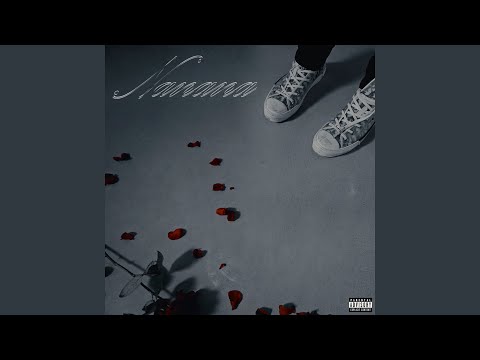NaNaNa Remix 