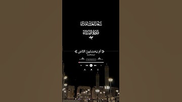 تلاوة خاشعة من سورة النساء بصوت القارئ #سعد_الغامدي #quran #اكسبلور #قرآن