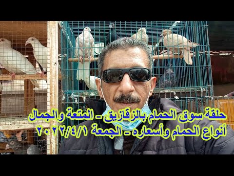 حلقة سوق الحمام بالزقازيق مع المتعة والجمال الجمعة 2022 4 1