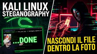 Come gli HACKER nascondono dati dentro le immagini