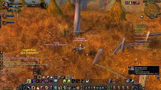 WoW Classic ERA | Leveling  [13h - 16h]
