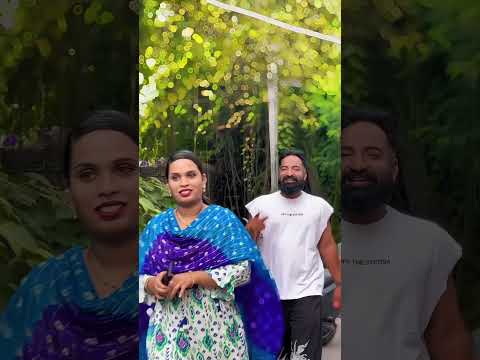 local boy Imran London Pilla song lyrics#pareshan #travel #automobile