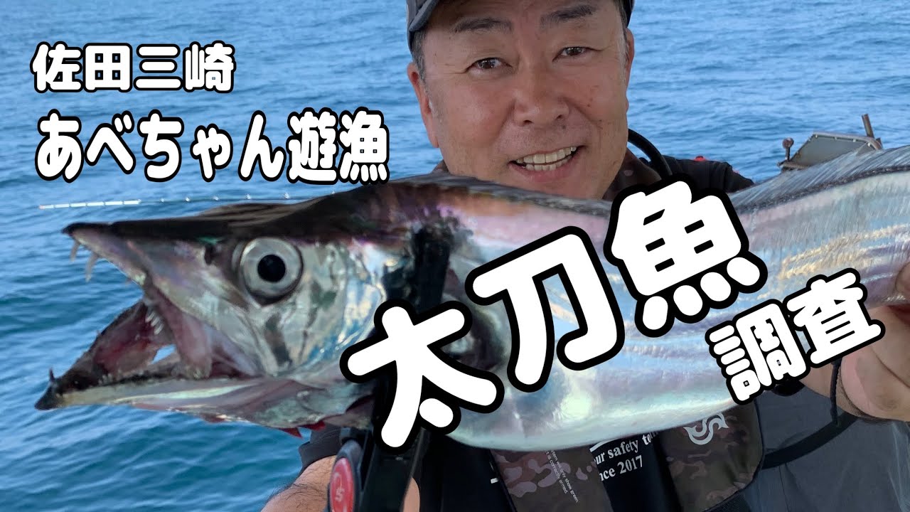 佐田三崎あべちゃん遊漁★豊後太刀魚