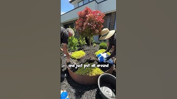 The Foolproof Guide to Planting Your Trees Perfectly.