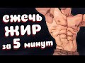 КАК СЖЕЧЬ ЖИР НА ЖИВОТЕ ЗА 5 МИНУТ В ДЕНЬ